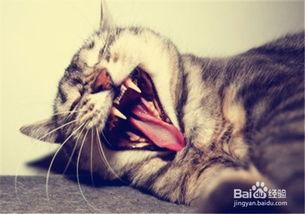 自己怎么打造成网红,我的蜕变之路