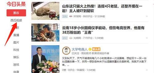 头条视频怎么批量获取