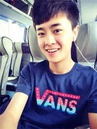 高火火明星,闪耀娱乐圈的璀璨星辰