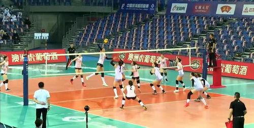 中国 女排 全明星赛,荣耀绽放——中国女排全明星赛精彩回顾”