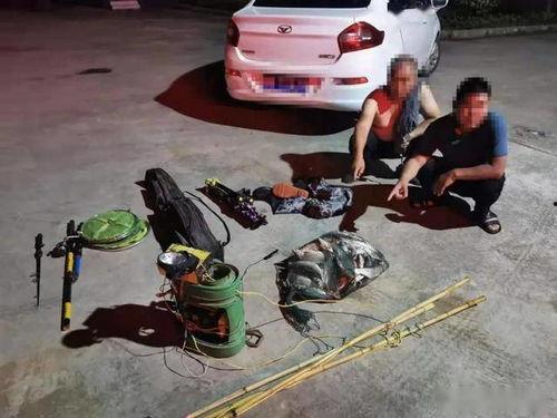 头条淅川电打鱼,传统捕鱼方式遭遇现代争议