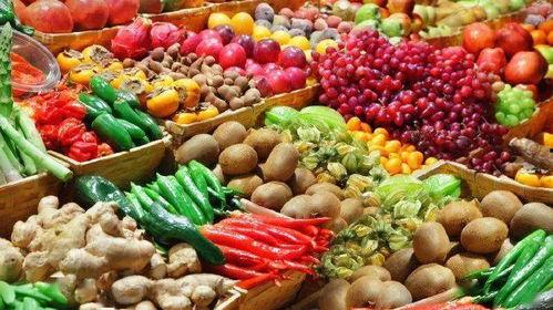 卖吃瓜视频项目,揭秘卖吃瓜视频项目的崛起之路