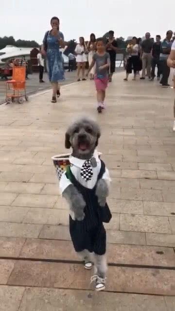 被人追着拍摄的网红照片,捕捉网络红人的魅力瞬间