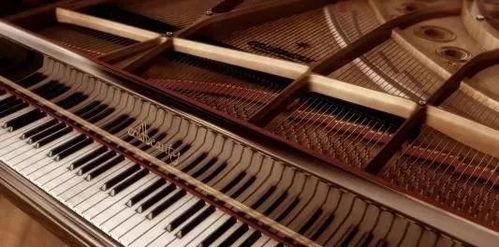 瓜老师钢琴,探寻音乐的魅力与灵魂